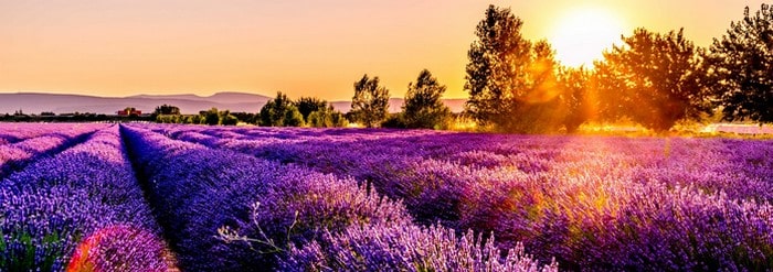 resilier un abonnement au journal la provence