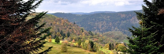 resilier un abonnement vosges matin