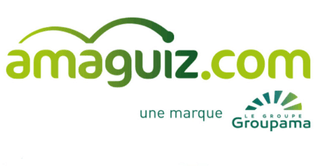 logo Amaguiz